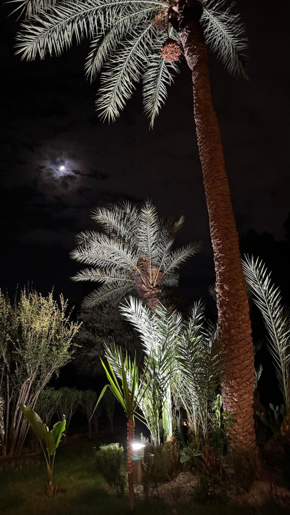 Appartamento Tres Joli A La Palmeraie Coup De Coeur